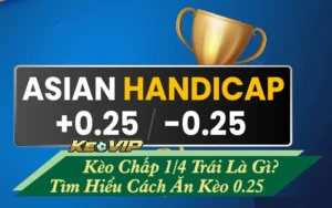 kèo chấp 1/4 trái