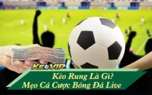 kèo rung