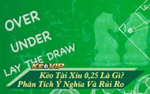 kèo tài xỉu 0.25