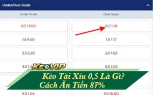 kèo tài xỉu 0.5