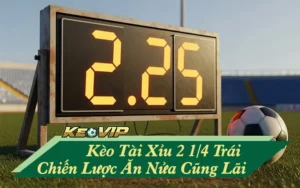 Kèo tài xỉu 2 1/4 trái