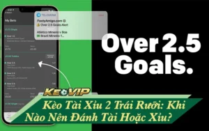 kèo tài xỉu 2 trái rưỡi